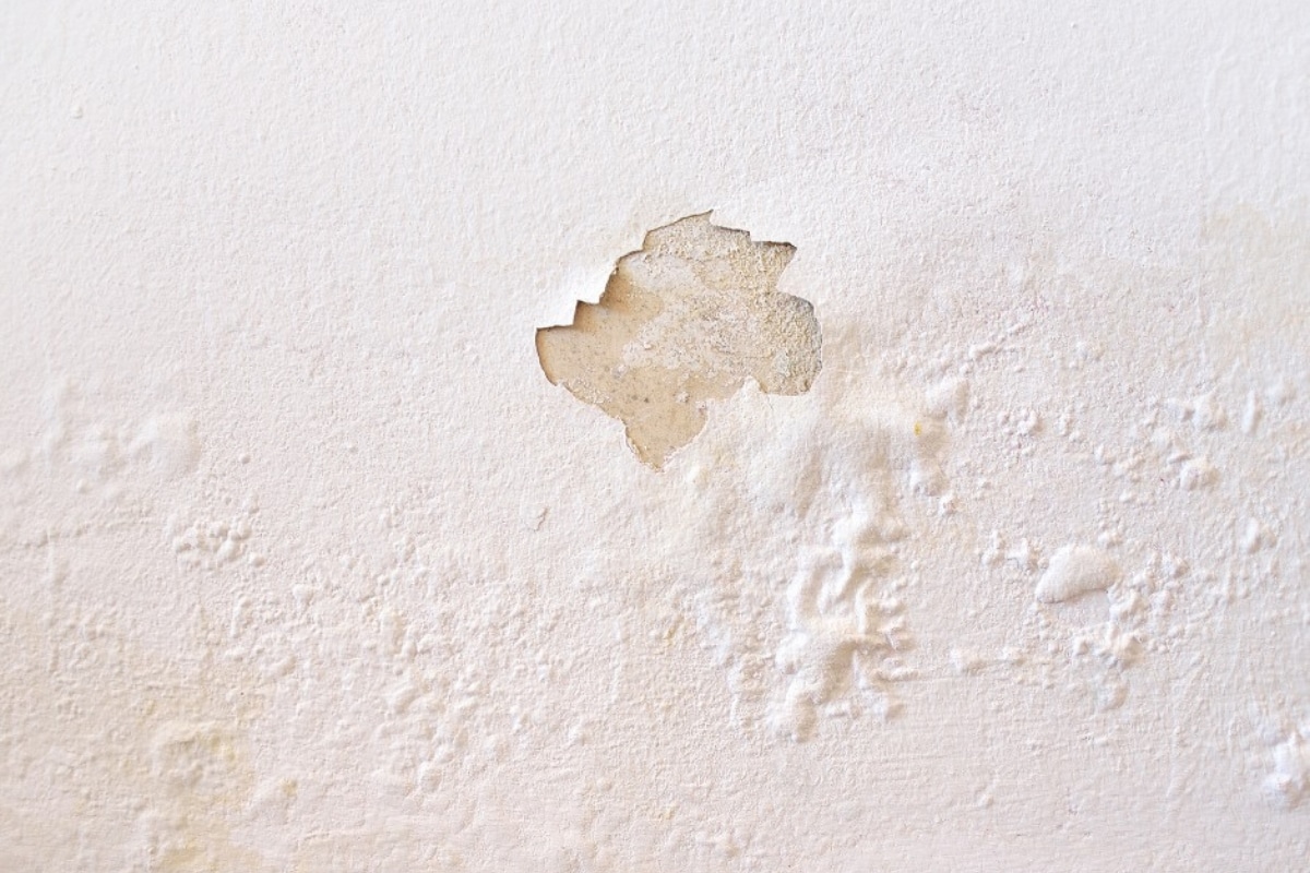 Step 1 Request your free estimate RDP Pro Paint Michigan