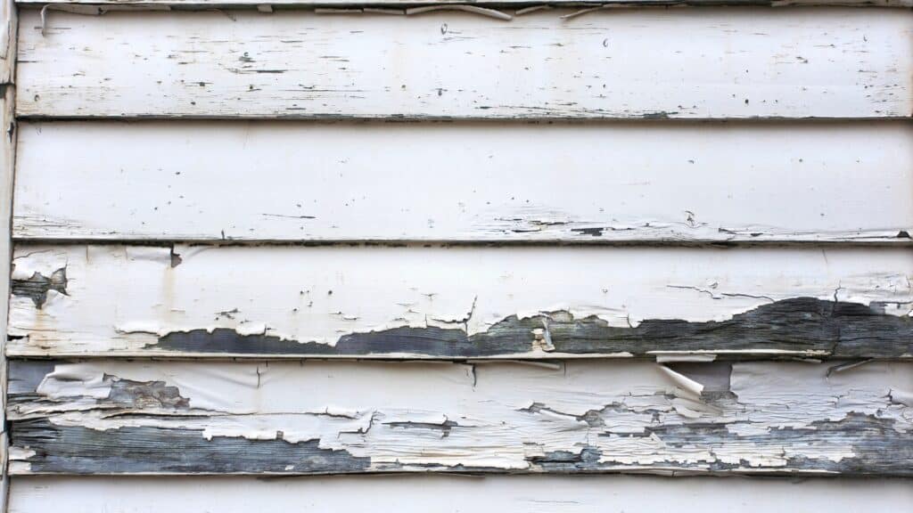 Why Exterior Paint Peels and Blisters in Michigan (and How to Prevent It) Peeling Paint On Siding RDP Pro Paint MI