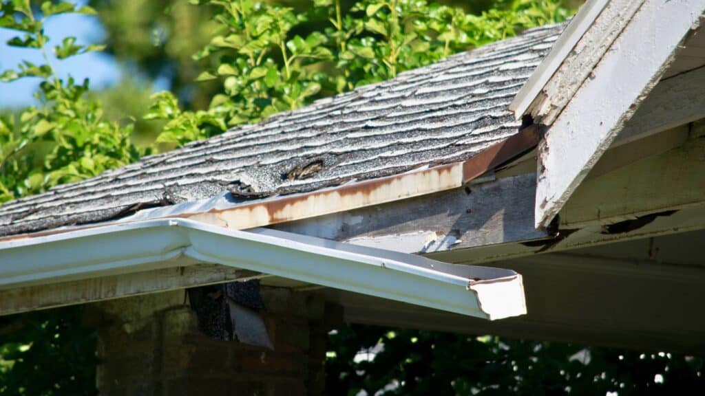 Signs It's Time to Replace Your Gutters Before Winter Damaged Gutter RDP Pro Paint MI